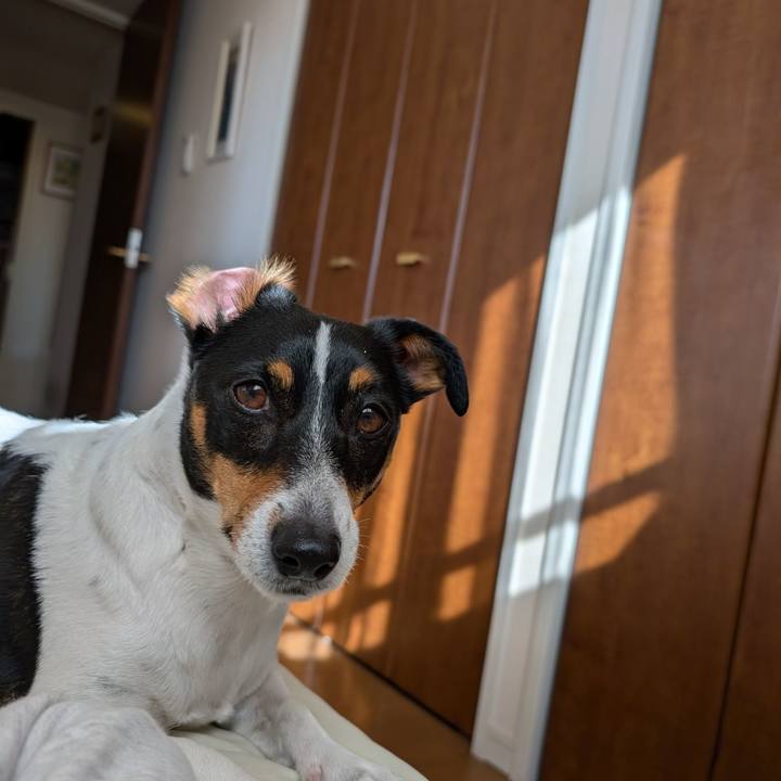 057ed1cf 92da 4975 8366 2d00ec22a310 1738926306497