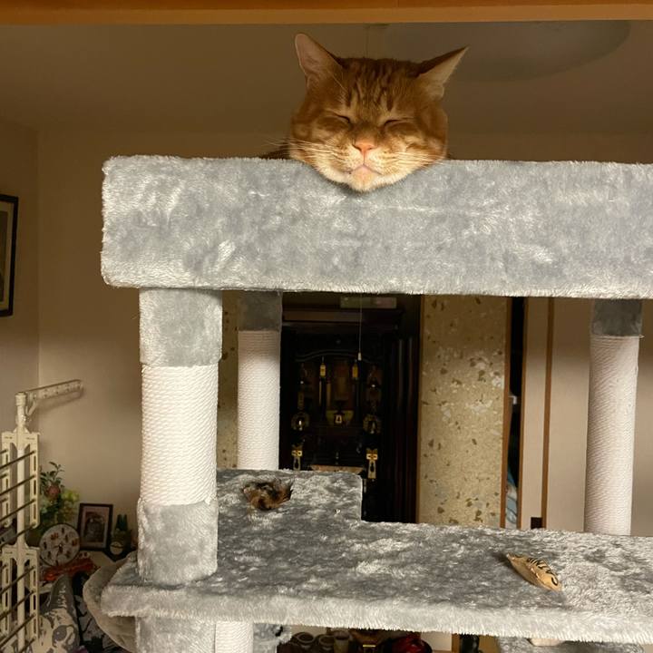 057ed513 7fcc 478e 8a57 70255f8dffd1 1619699042007