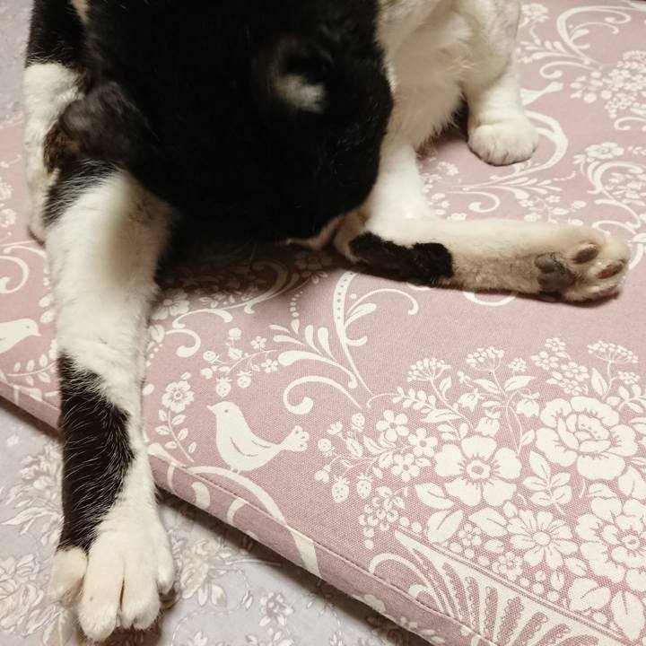 057eebea 3de7 447e b244 32b6049ded5b 1587891400746