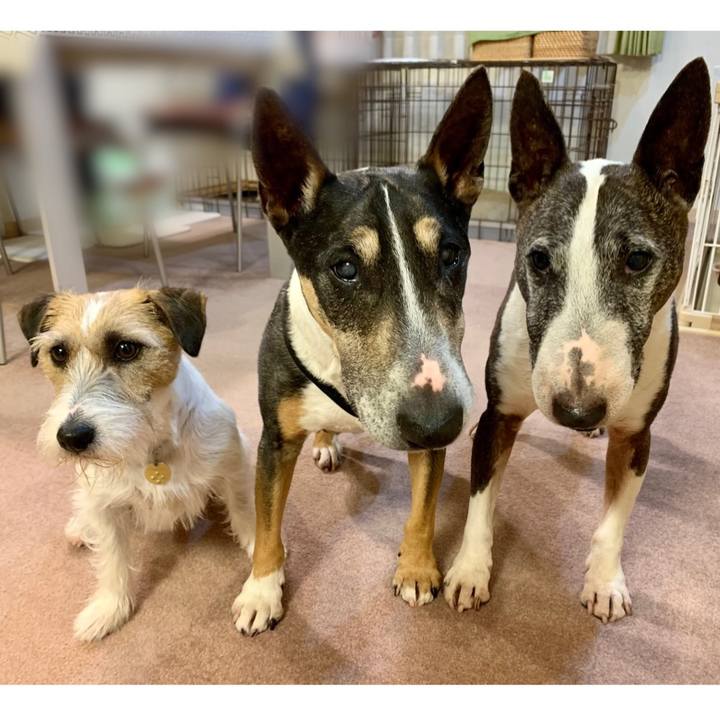 057f65ce 0658 4835 9544 58d15c54523b 1620388085578