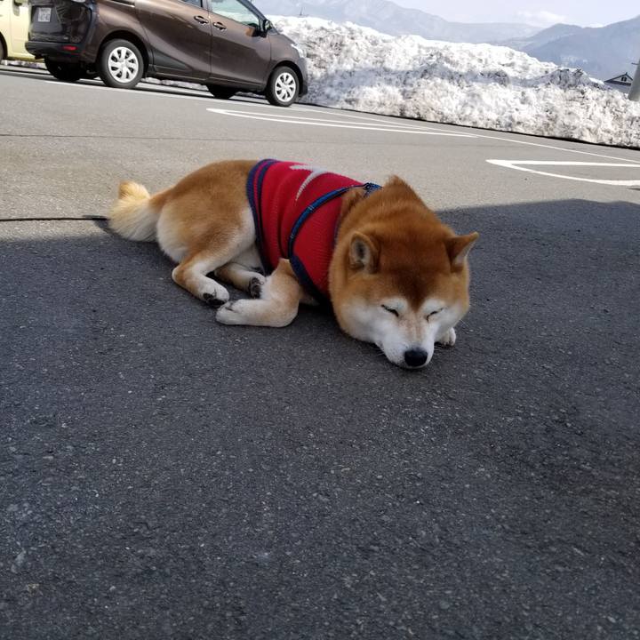 057f9a07 d575 4e20 8b86 7e6619382c90 1551840914571