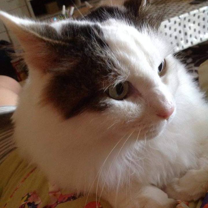 057faba3 125b 432e a579 c910f7298175 1599018287288