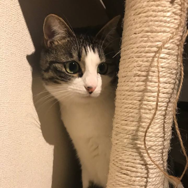 057fb6a7 2878 46e9 826e 10886a515d1a 1519881559221