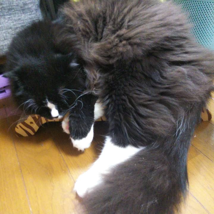 057fec01 befc 4b80 8a17 3b5ca56a4328 1659268932329