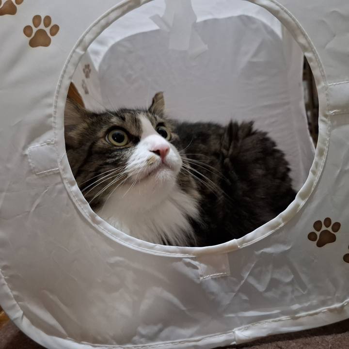 058005e0 4f65 4ba3 952b f00b9237b3de 1756597171544