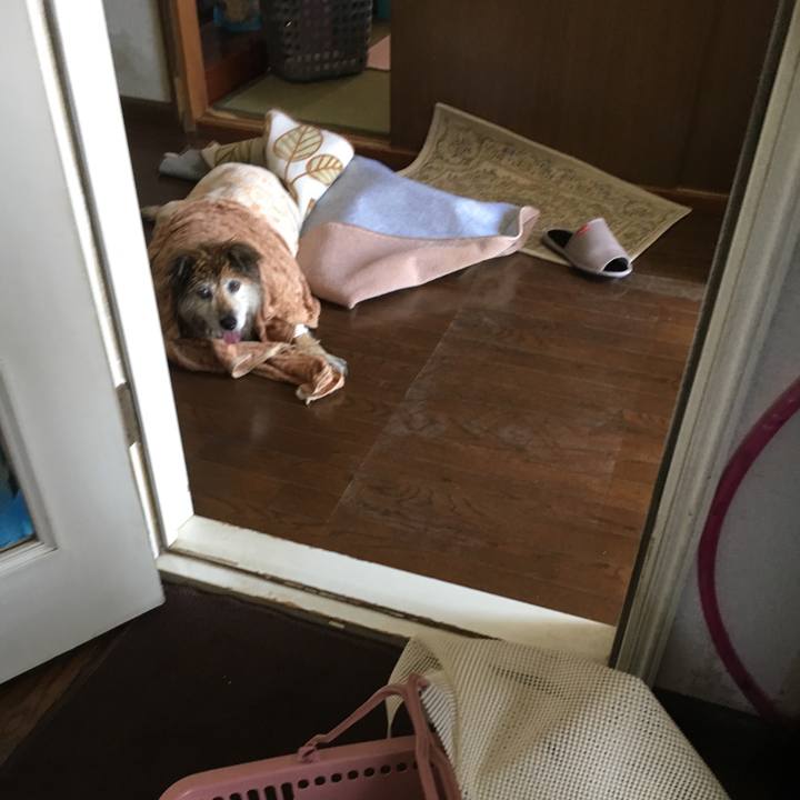 05803749 8548 4660 8cc4 8ba1adca300d 1558917348582