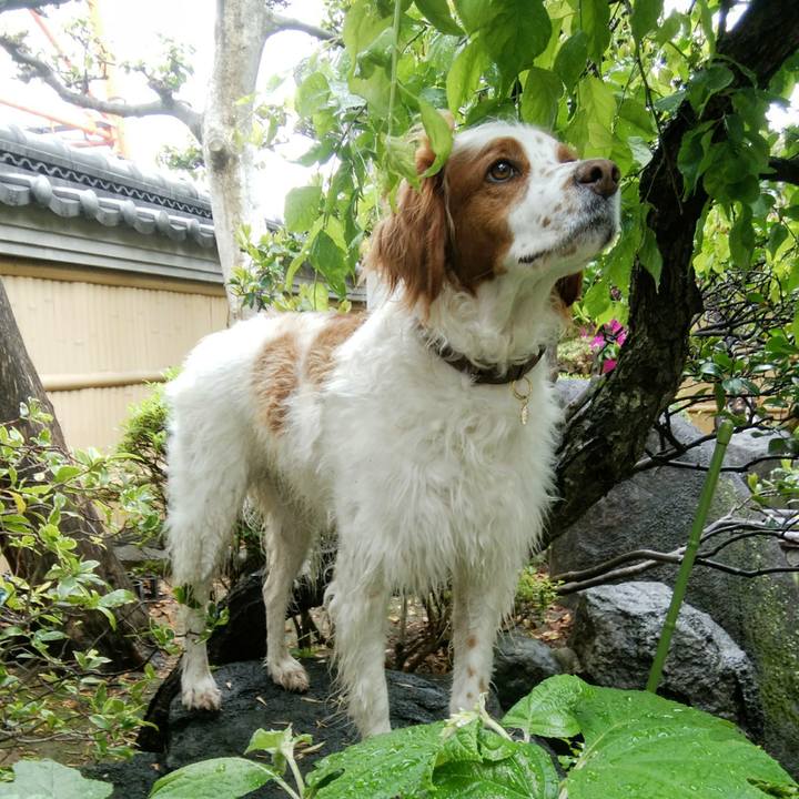 058055e7 0fd1 4550 a585 8bdc28a3fa15 1556670297229