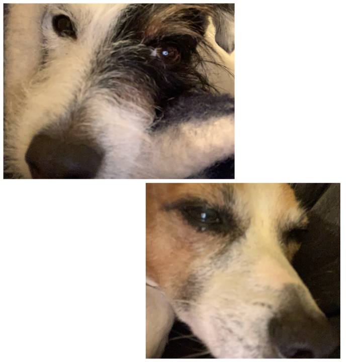 05805ae7 77c2 4bfb 903d 166b5ebbcd00 1608107471802