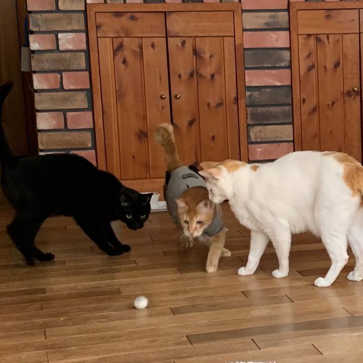 05807a48 3cf2 4658 b0c7 24de23117713 1642854828151