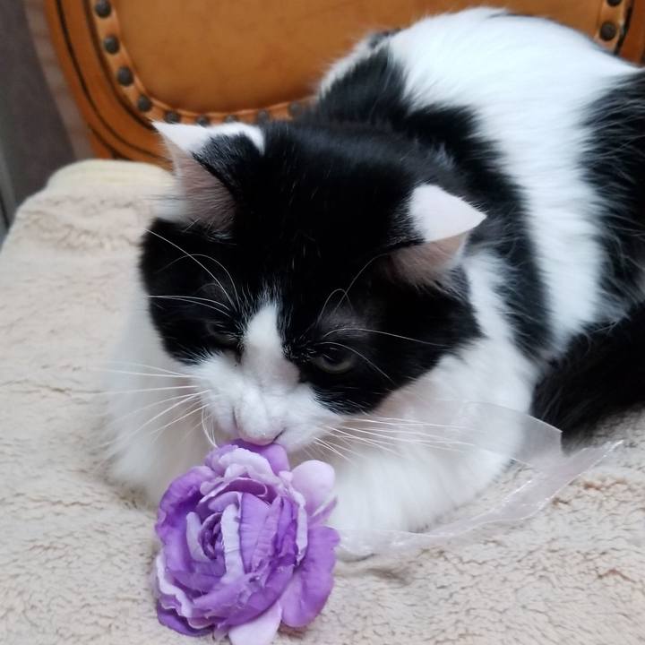 05809765 3cf3 43ef a380 297d2f422e18 1556015969717