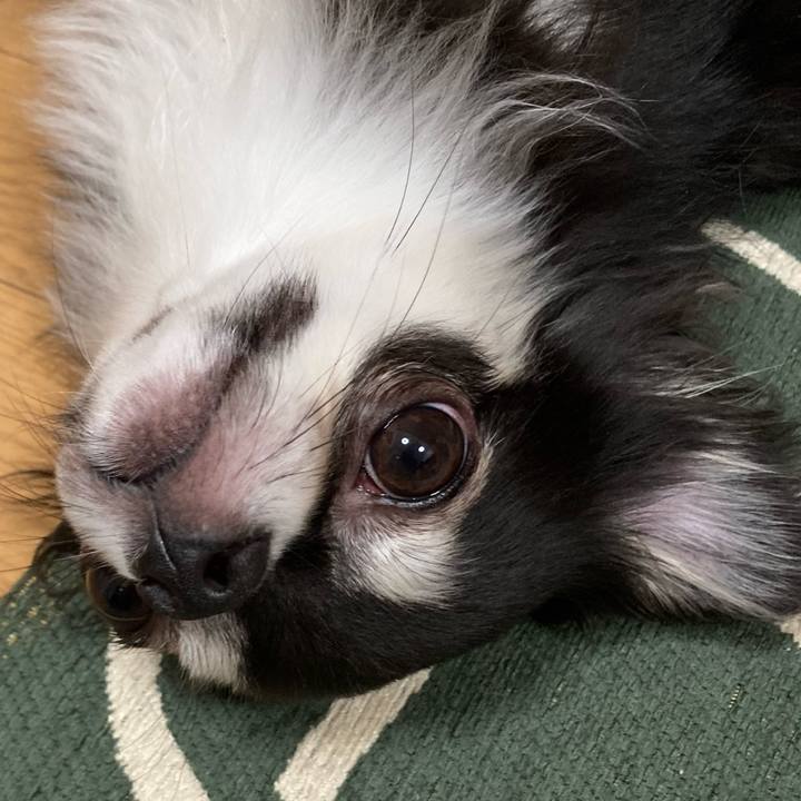 0580a726 5787 466f b6a1 73e9525dc856 1634393705052