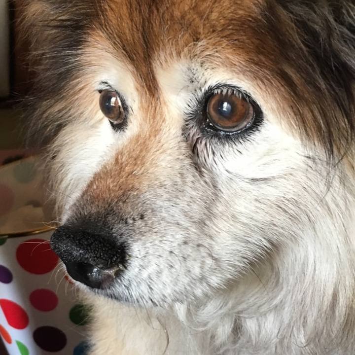 0580fcb5 3966 41ed a288 e18f07397656 1636572144125