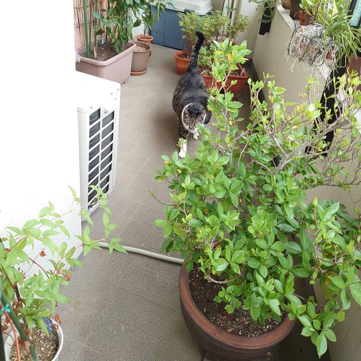 0581312c 0b32 4a10 8f36 eb71ff92912a 1601163585151