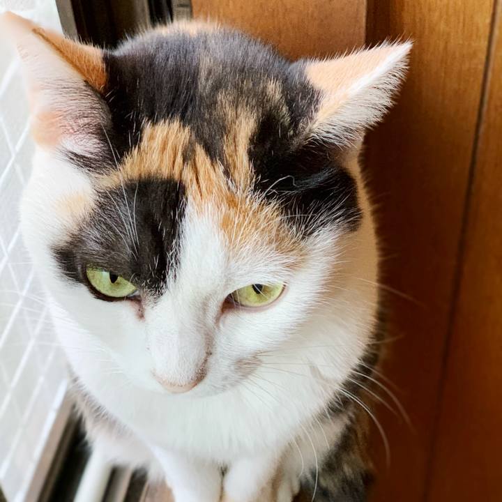 05815fc3 5e1e 40b1 a1e7 2927ef74ce96 1542423386083