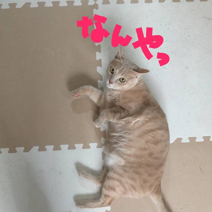 05816455 881e 46ce 8b5d 48be24792143 1519798516008