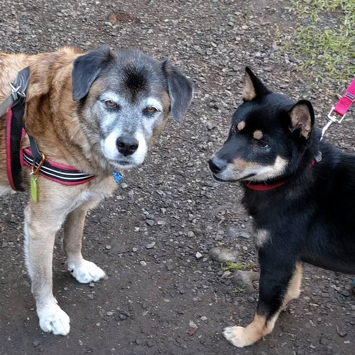 0581991e 4788 4d6a 9df9 a80a23af8719 1540859000131