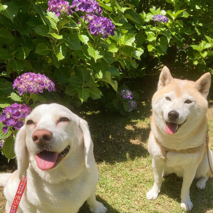 0581b624 660c 43e8 90bf 75b42647aef7 1645374449043