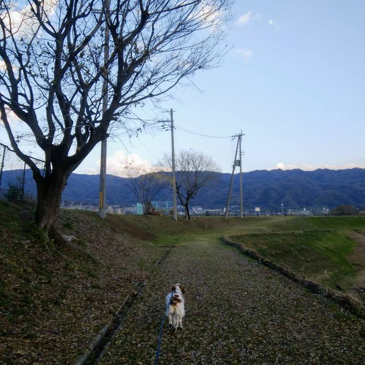 0581bff6 5968 460b 9a73 f8c91e190164 1545121433341