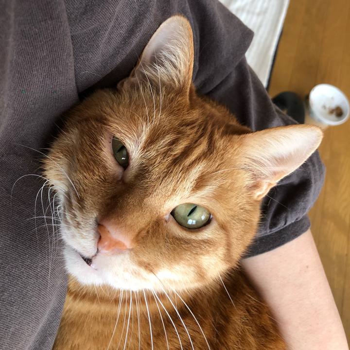 0581c671 93b7 46b9 88fc 851617f1e154 1645407574383