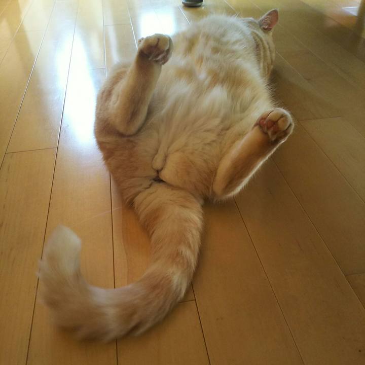 058207e9 e168 4738 b638 cff66c390e6e 1534746738052