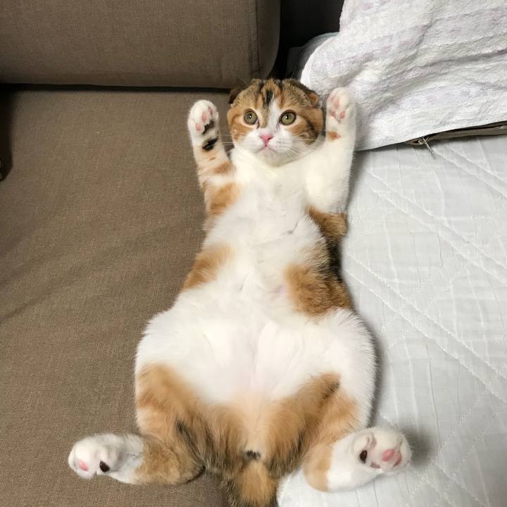 05823cf5 bb77 4210 a85f 8217be7279be 1509712714192