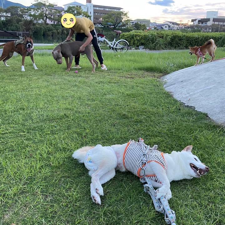 058265b6 a94d 4518 b94b a323bf093814 1663933742405