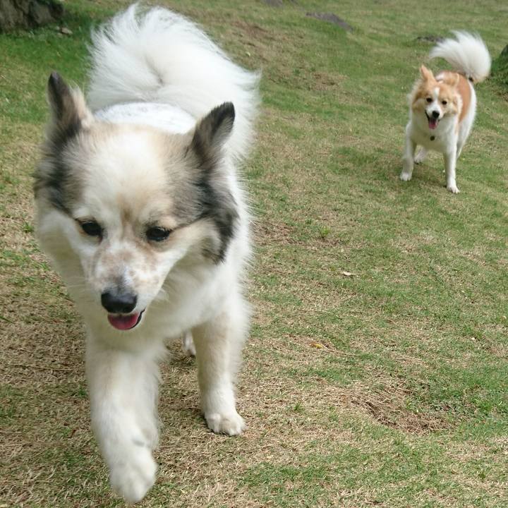 0582b10a f74f 40db a528 4b10f39cc143 1575028220248