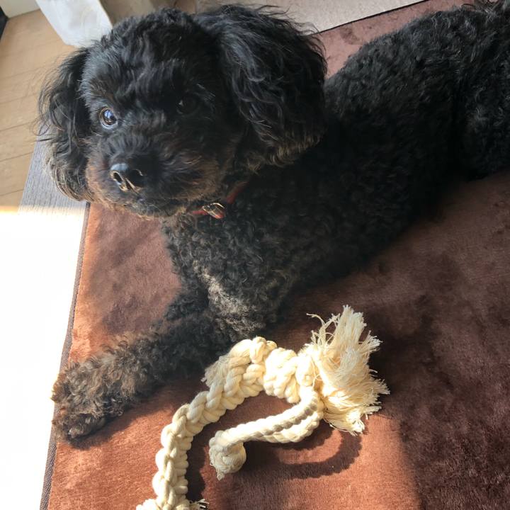 0582c5ec 36d6 4155 ad5d 2b0c2fabeb5b 1586003420399