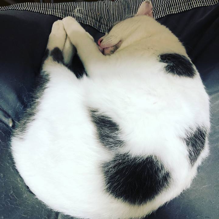 0582dcd3 d84b 44e4 af5a 3790d375ce63 1550692299938