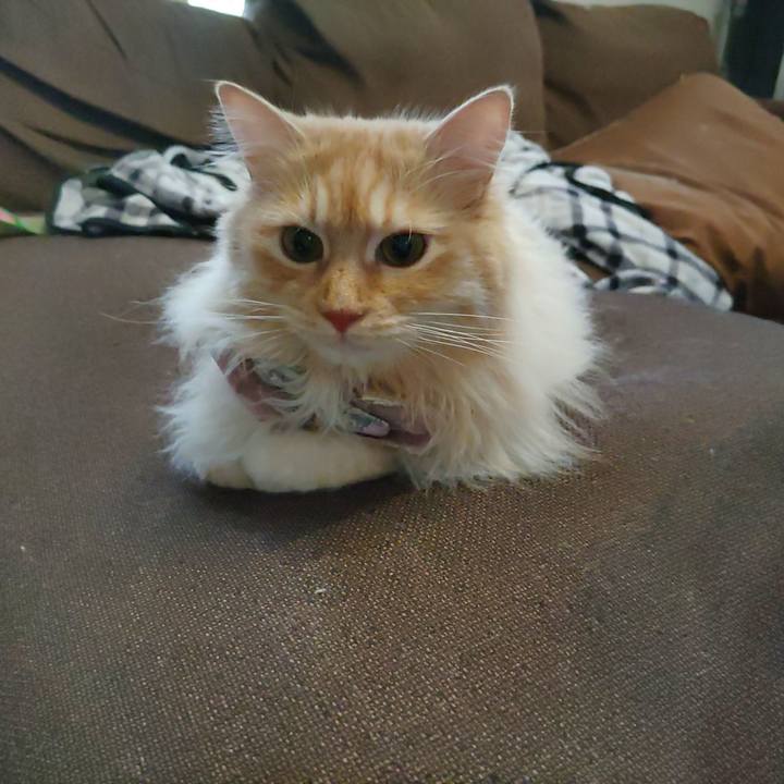 0582dd92 175e 411c 83d1 96688e98ca4e 1718254561151