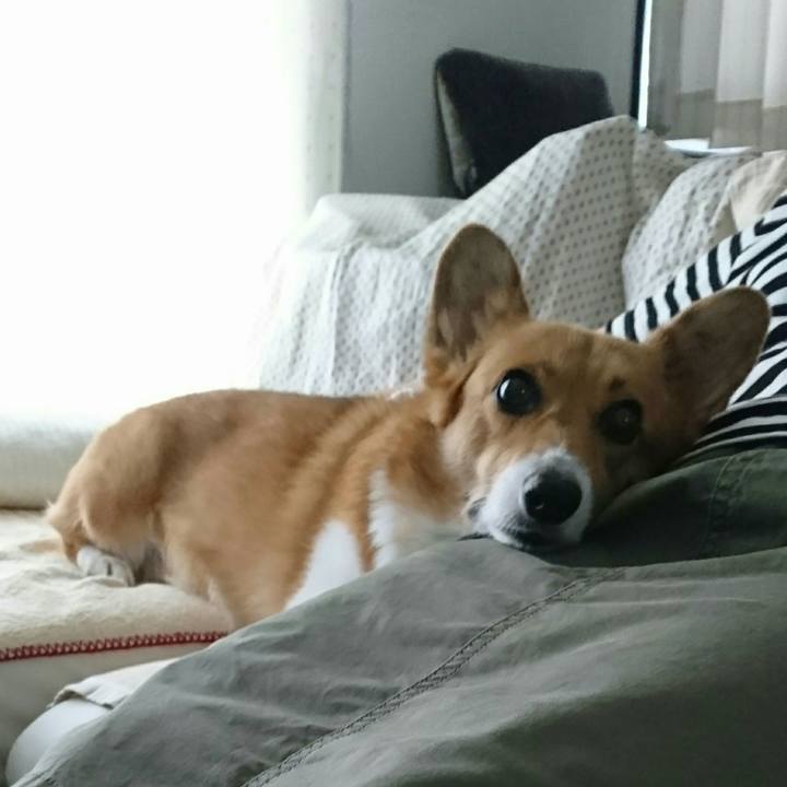 0582f760 6758 4c5e bf78 b7e959da312f 1530709446038