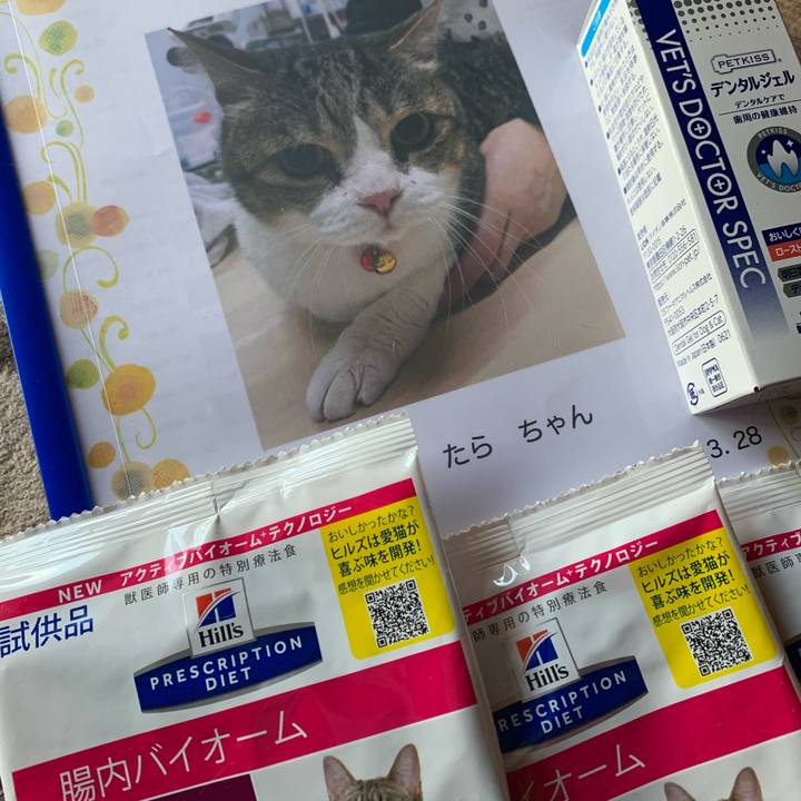 0582fff2 5c63 42b5 b5b5 2d337c9b5d70 1680091048655