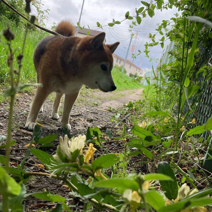 0583174b d218 4169 af21 631ca0e9c44d 1715058535922