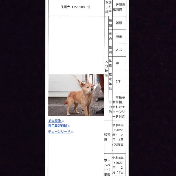 058327cc a488 49d4 aadf 65ff3d29a171 1644447467464