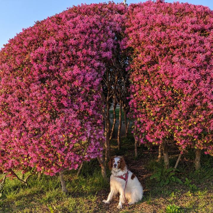 05832fc8 ae35 48d0 adc1 3c441f41d02b 1680515331648