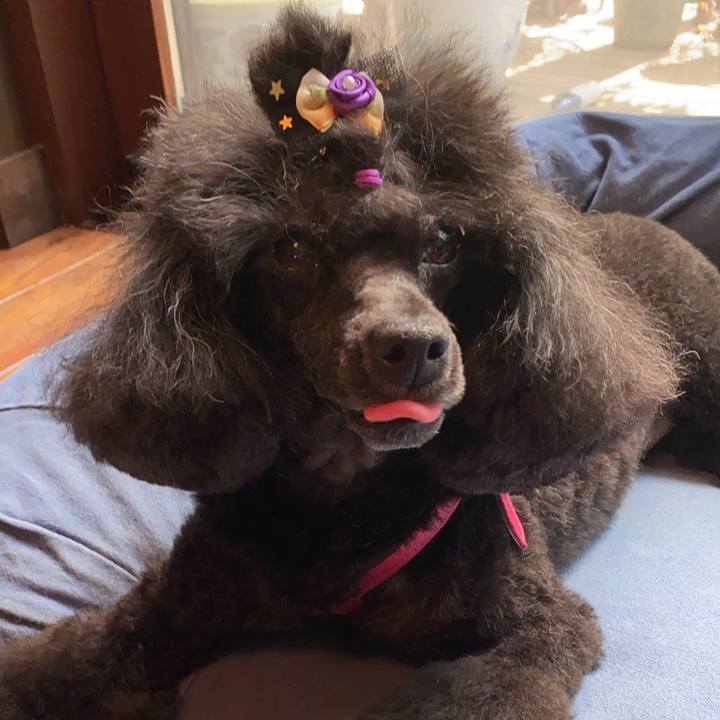 058345e4 a91d 4e67 8f02 a3f1029171ec 1634521174290