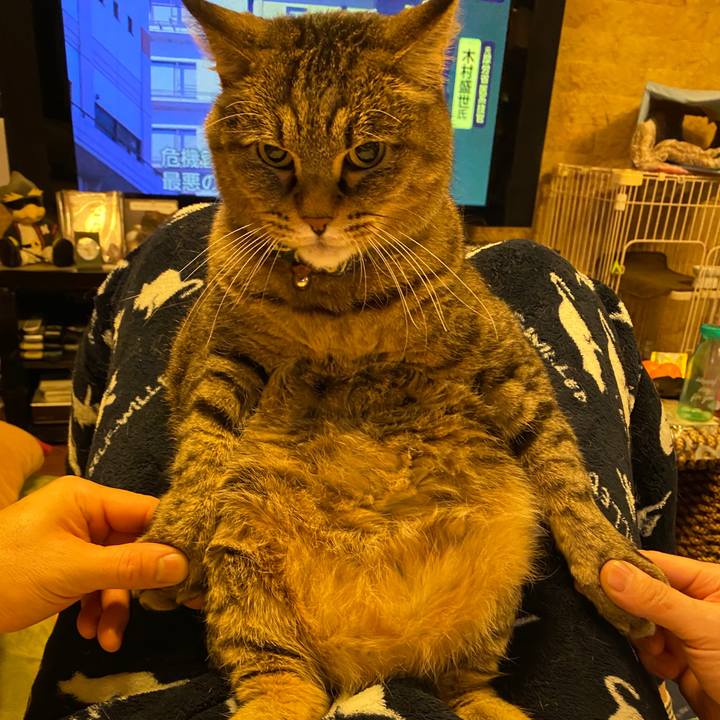 058346fc 20f0 4ff3 b9ec fb6a435282a0 1580468017092