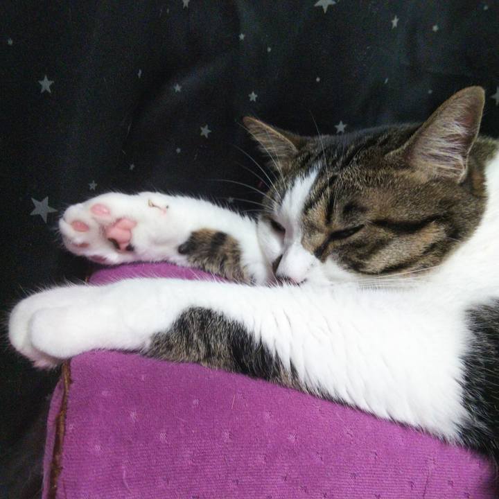 05834e1d ce11 4911 a2fa ccd7169d82a2 1658363515812