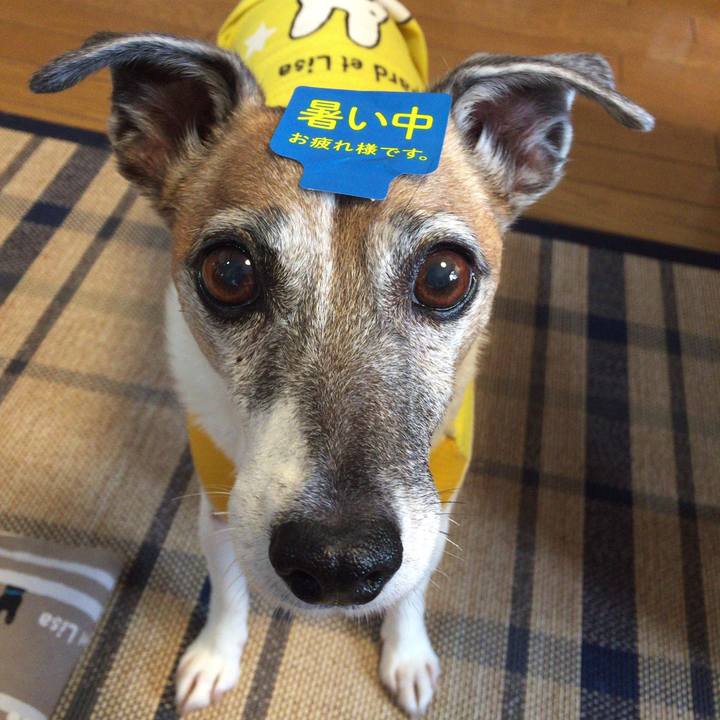 058370a5 691d 4f59 bd10 5ea2e7a71f5a 1660090965957