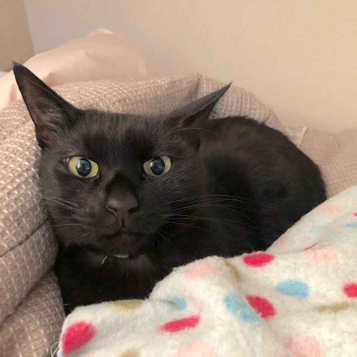 05838619 7949 405b a4ce e52d3a88d30e 1576374341493