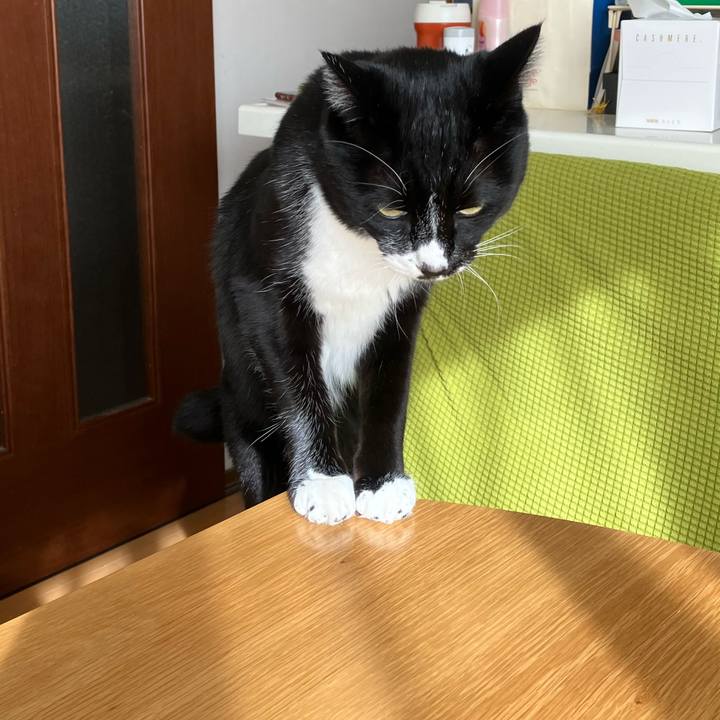 0583a20d 7586 428a a953 c1c7b63bd50d 1740465854891