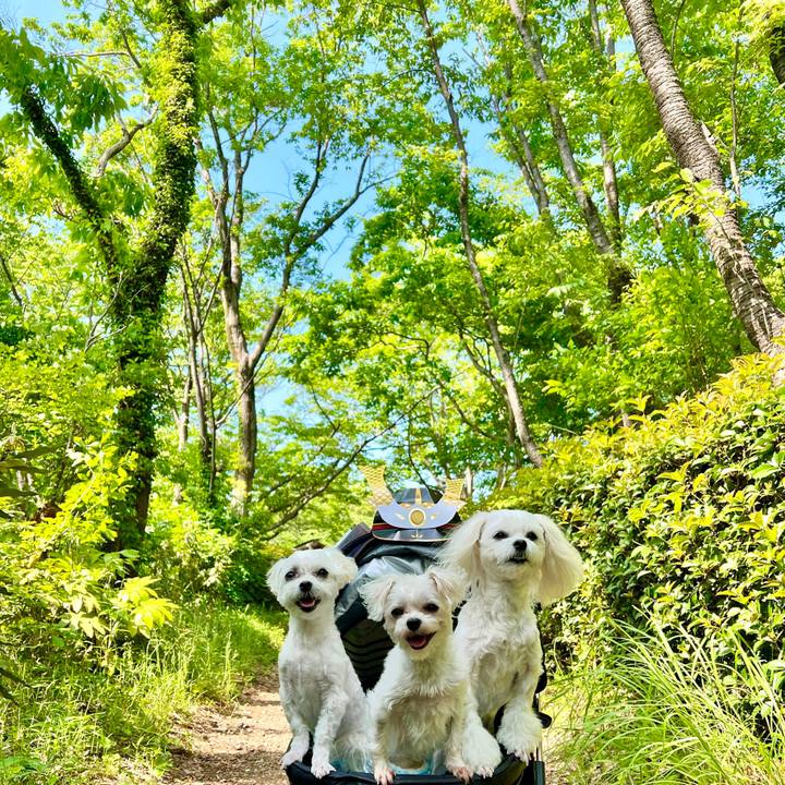 0583b9d8 221d 4e83 b4eb f3954fe2fcb4 1651732570022