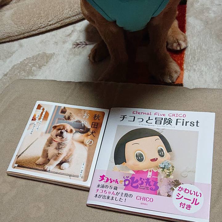 0583c7b2 17dd 4fa2 9b49 1ccd1a2f6e48 1545307277722