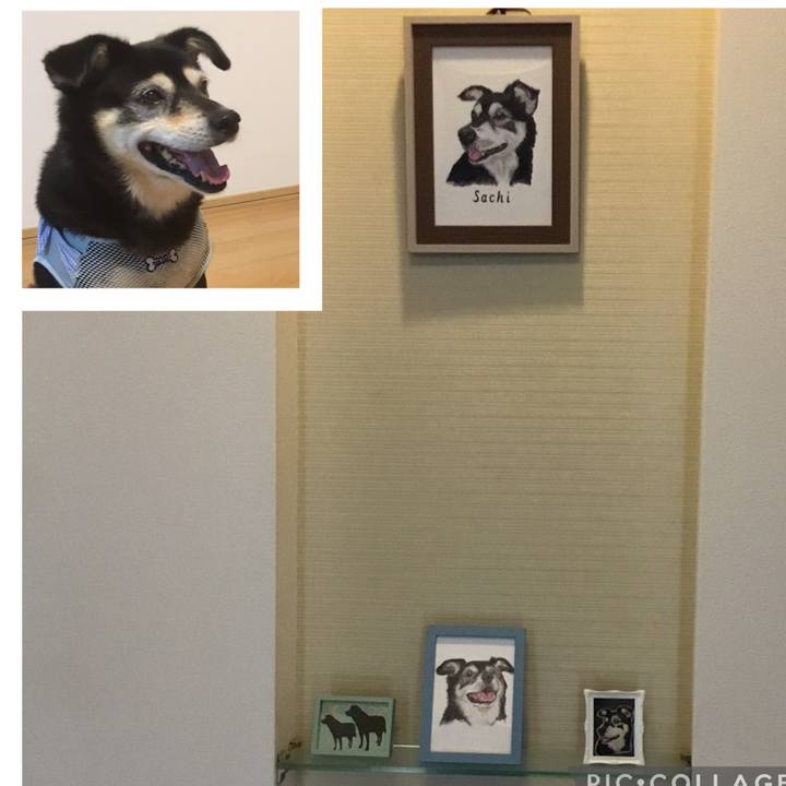 0583dd0f 28bb 45c4 9f3f 7d92a4e16270 1770703424365