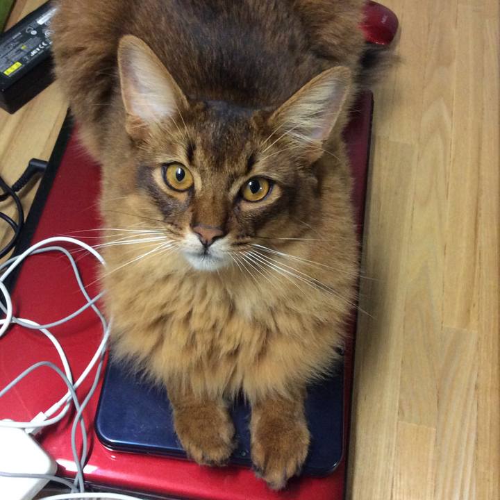 0583f2a1 8f1a 438f bd5e 0e18447768b2 1594969599852