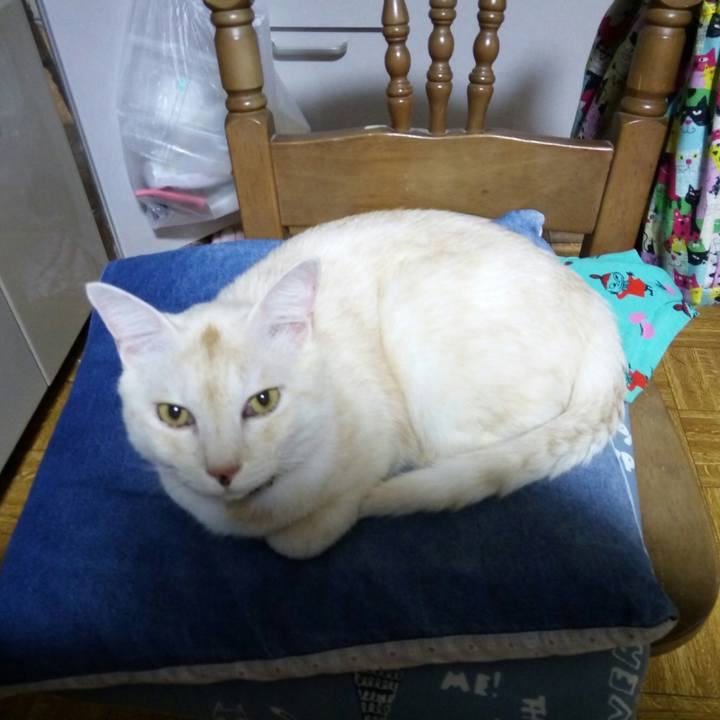 0583fc11 6b14 4a85 9391 6008c5799152 1535294551372