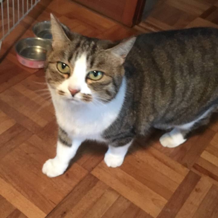 05842429 c0de 4684 8c2d f43c41bc537b 1510309815240