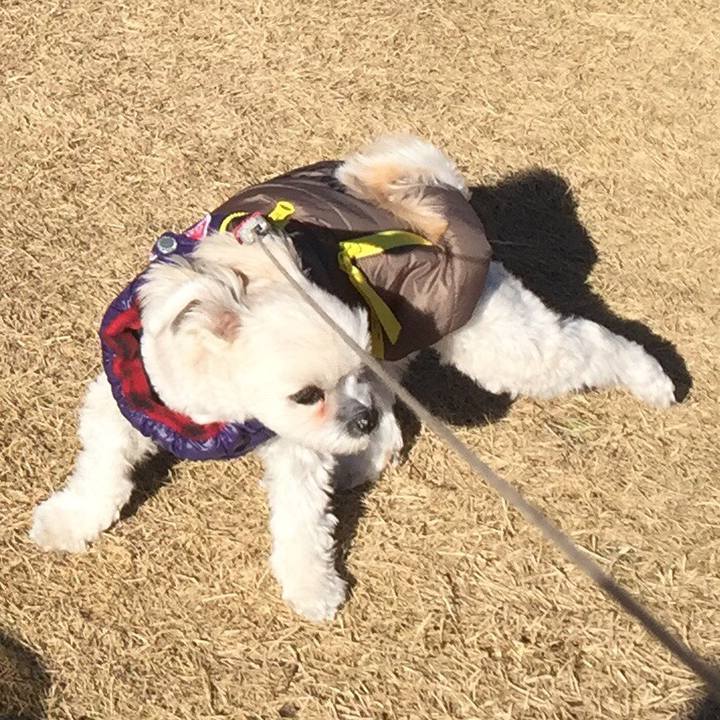 05843894 dadf 44f4 80f6 4cdbaaa52862 1514892847204