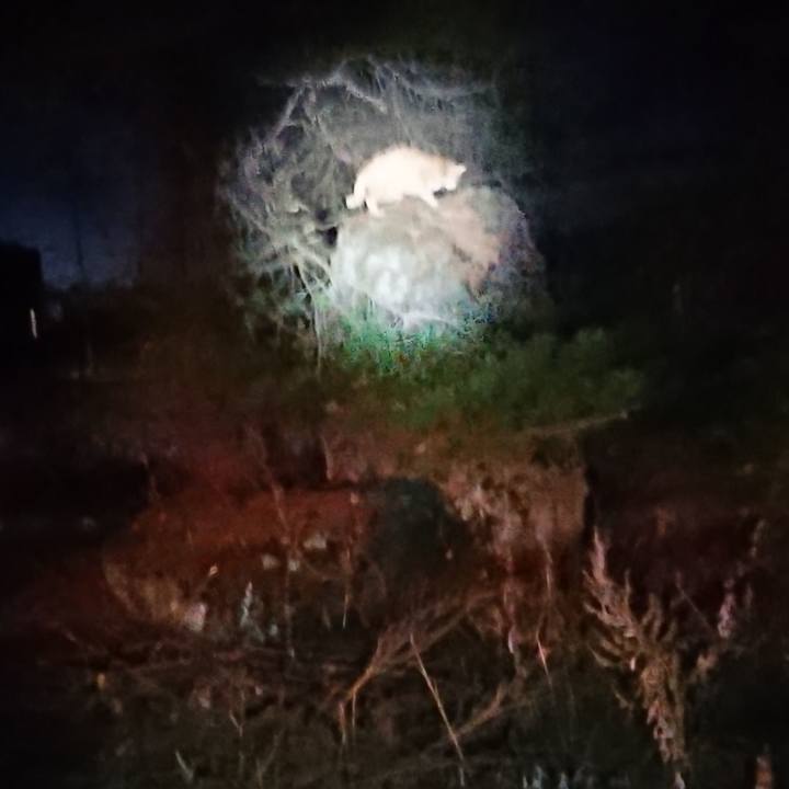 05844b84 ffde 4aed ad3c 5dd62ad52b3c 1639484783790