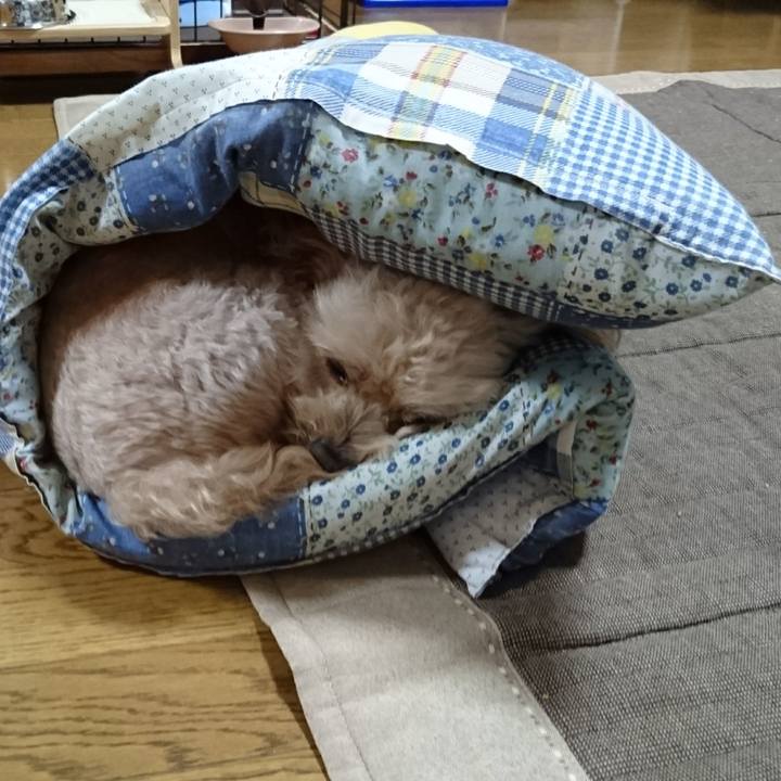 05845636 19e5 4871 b4f5 048fbd4c4276 1569967541016